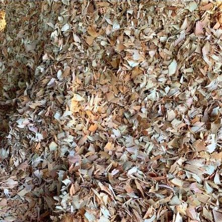 Wood Sawdust